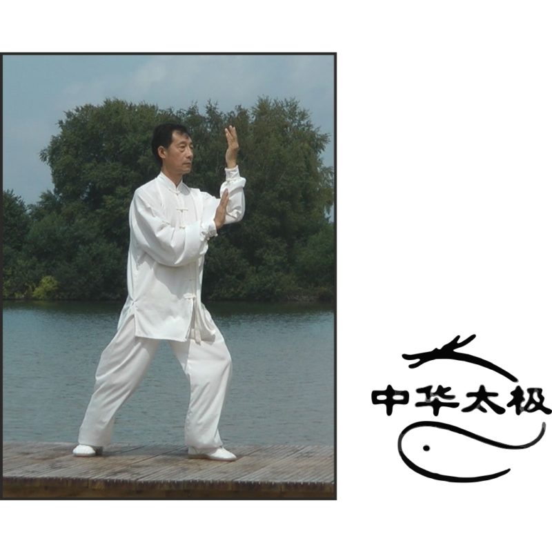 Wasserwellen-Qigong mit Meister HuaXiang Su