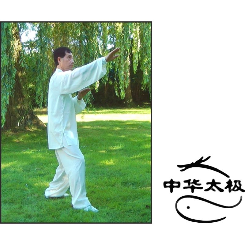 Liu He Ba Fa Quan-Kurzform mit 15 Bildern