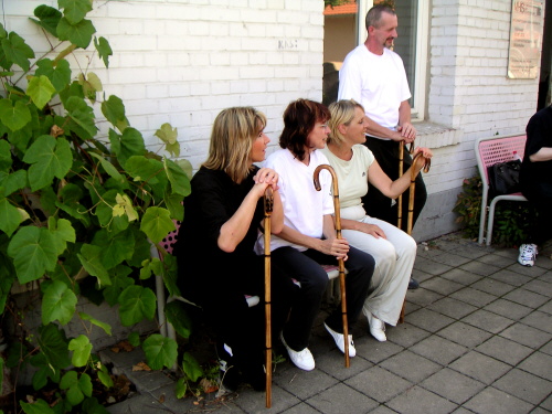 Tai Chi-Spazierstock – Seminar